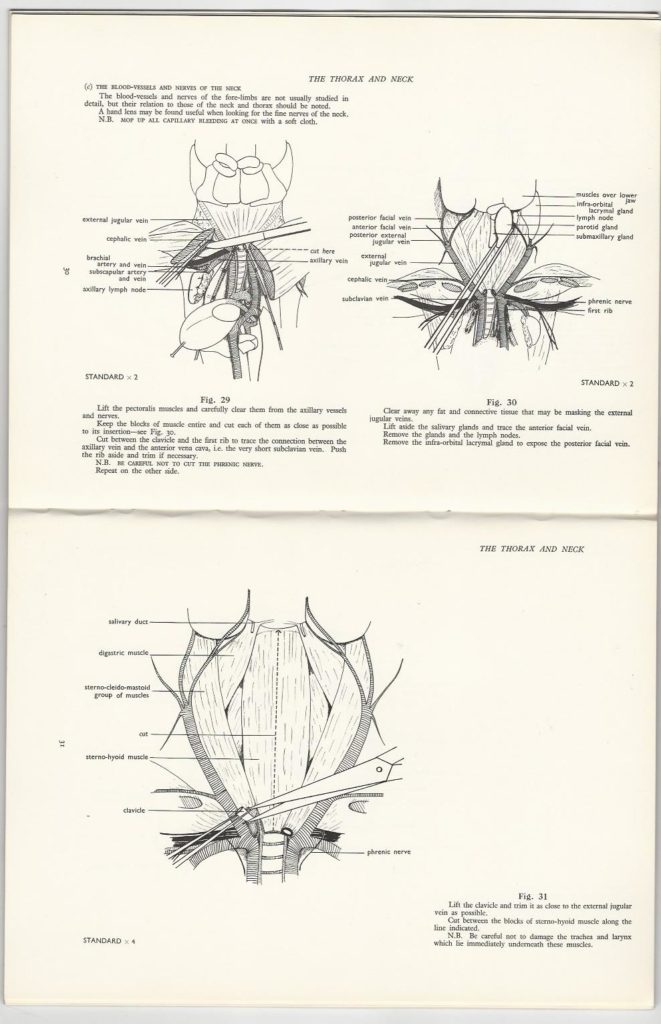 Dissection Guides III The Rat, with notes on the mouse