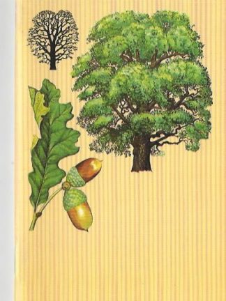 Nature Notebooks: Trees