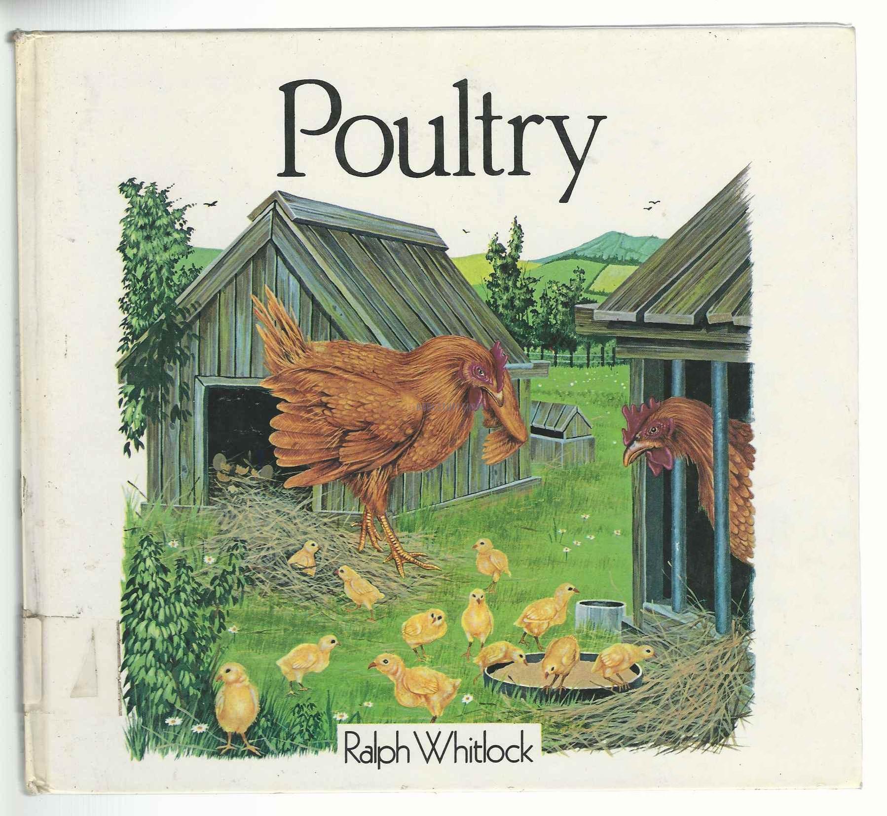 Poultry