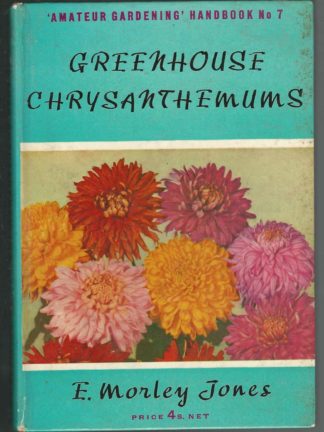 Greenhouse Chrysanthemums